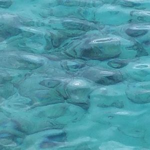 Meet your Posher, Brandie